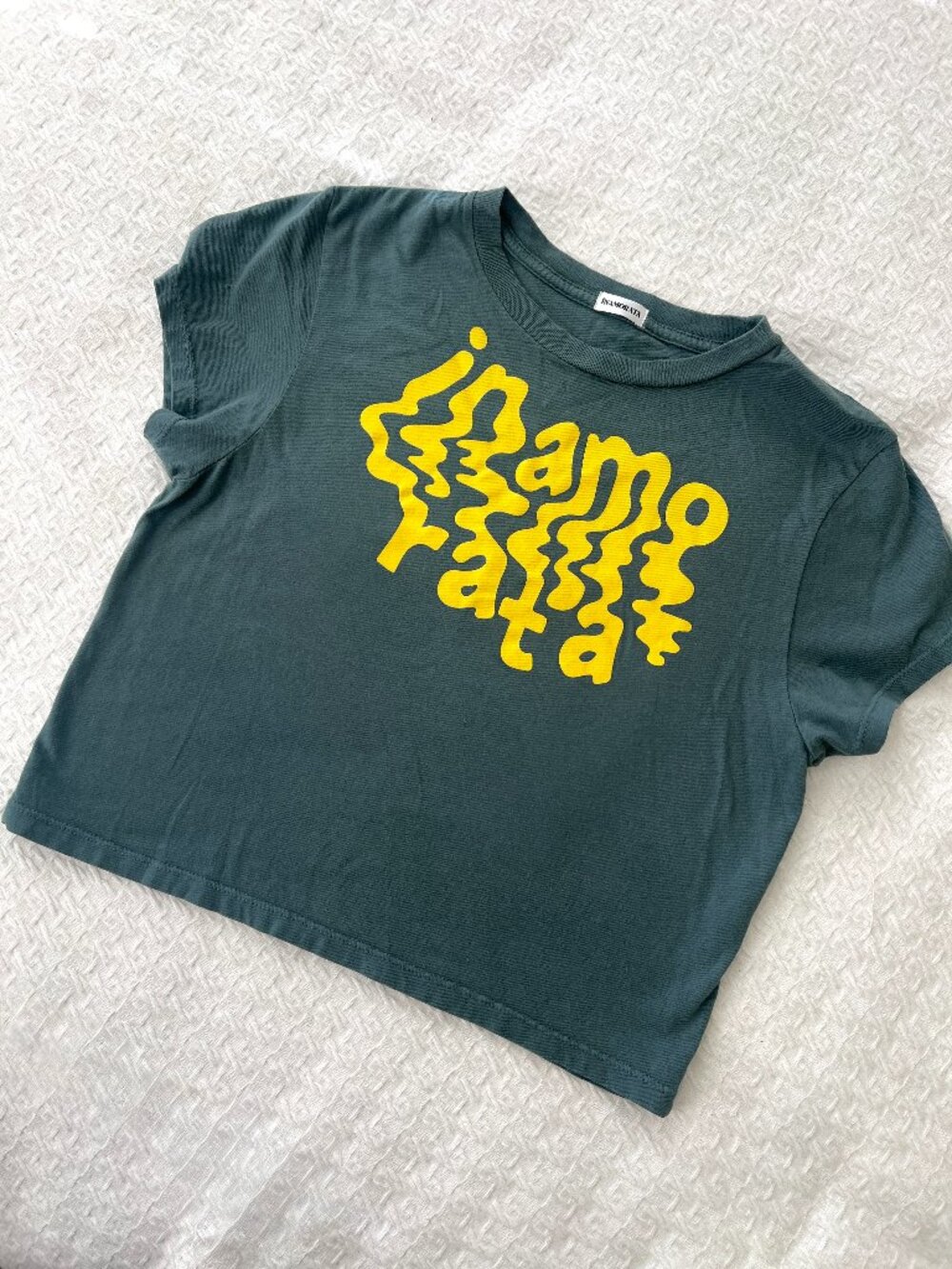 Inamorata by Emily Ratajkowski Cropped Graphic Tee – Size XL
